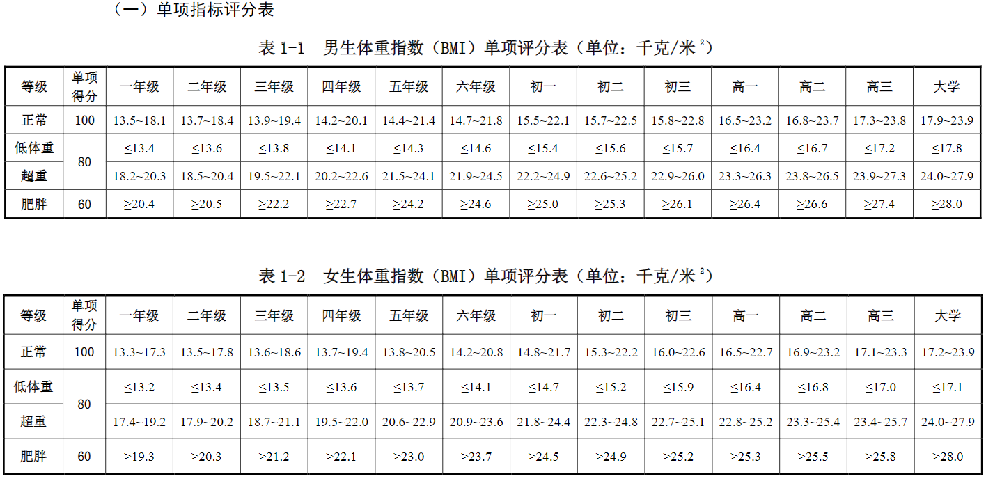 单项指标评分表